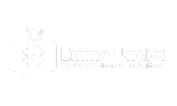 Emme Undici